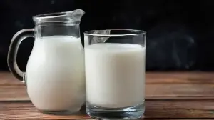 Beyond Sweets: How India Uses Milk In Savoury Cooking