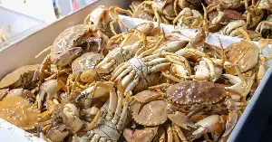 This battery uses crab shell waste.