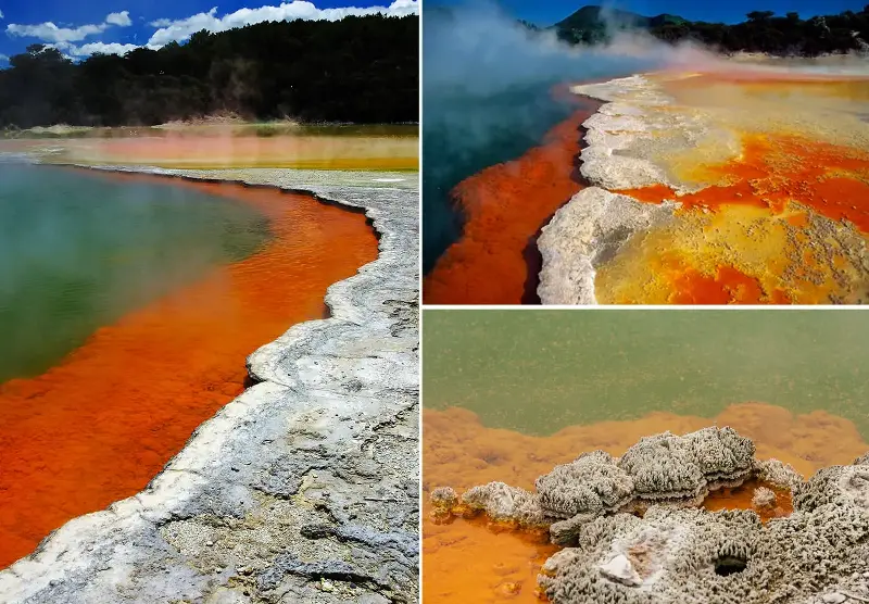 Aotearoa: Tendencia viajera para Descubrir la Magia de Nueva Zelanda