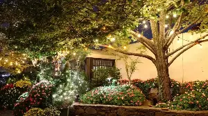 Lidl’s Solar Blossom Lights Transform Your Garden Into an Enchanted Forest at Nightfall
