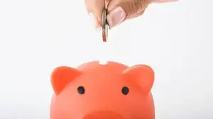 Funding your spouse's PPF account? Tax expert explains how Section 80C rules apply