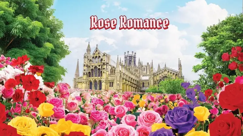 Things To Do June 2025: Rose Romance