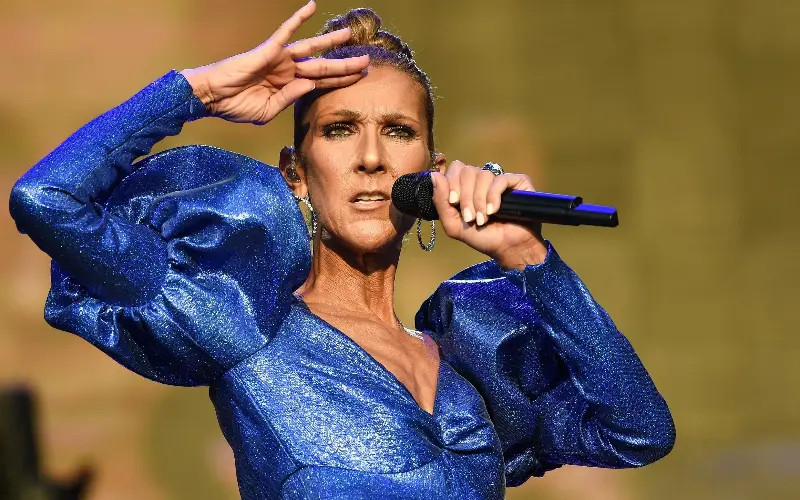 Dion’s sense of style is reflected in her stage looks (pictured her in 2019) that are often extravagant and maximalist - Brian Rasic/WireImage