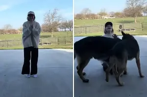 Family Take In ‘Dumped’ German Shepherds—Hearts Melt at What They Do Next