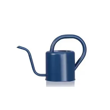 The Home Depot watering can
