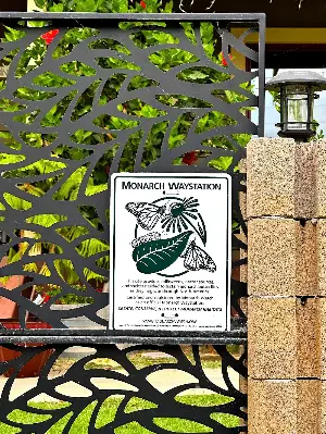 If you aren’t helping to save monarchs, it’s not too late
