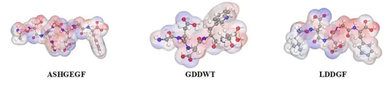 Mushroom-derived peptides boost saltiness by up to 70%, offering a path to low-sodium foods