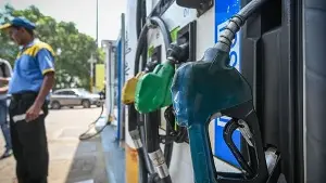 CNG, hybrid and EVs overtake petrol as India’s car buyers embrace cleaner fuels