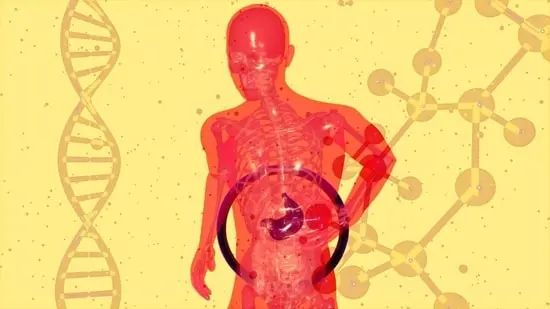 The biggest red flag for poor gut health is a simple lack of biodiversity—which is what a varied and partly fermented diet is good at correcting.