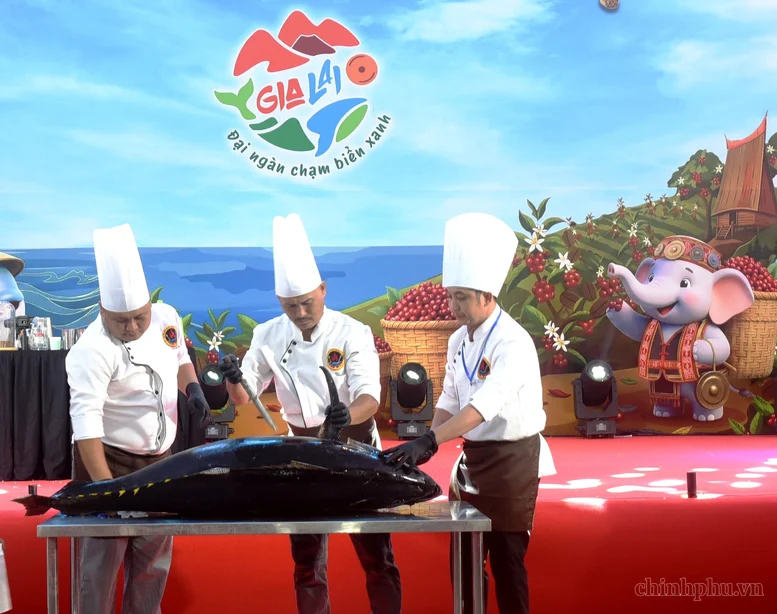 'The vast forests touch the blue sea' propelling Gia Lai forward on Vietnam's tourism map - Photo 3.