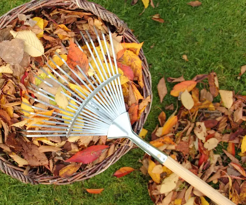 (Image credit: Deborah Vernon / Alamy Stock Photo)