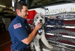 Oro, a trauma support dog for first responders, is the future of addressing mental health needs, officials say