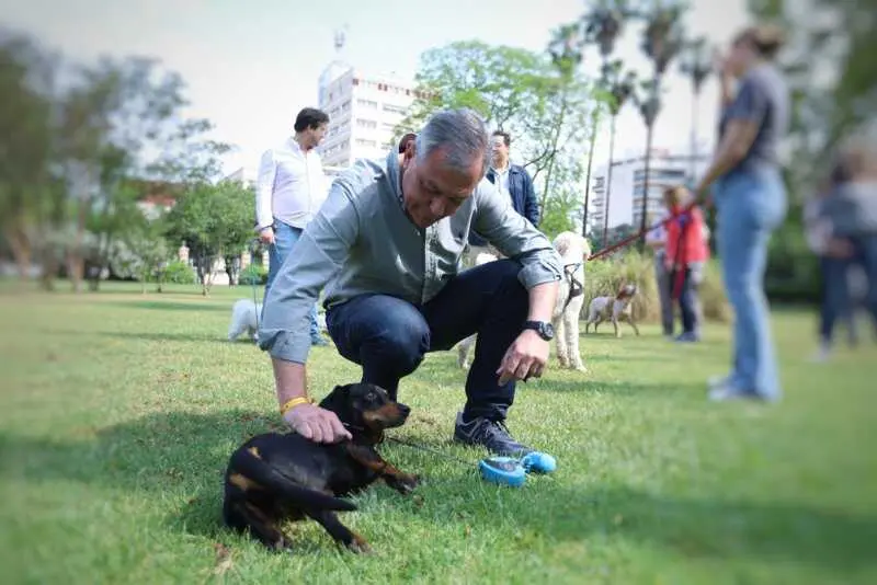 El Ayuntamiento lanza la campaña 'Un hogar para cada huella' para fomentar la adopción de perros y gatos