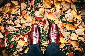 Fall Fashion 2026 horoscope: Your astrologically approved style advice