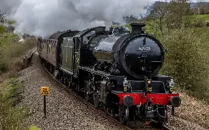 Steam trains banned after heatwave wildfires