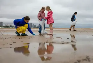 Microplastics trigger inflammation linked to disease and death. Now scientists appear to have discovered why