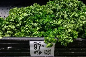 Amid rising cyclosporiasis cases, here's what lettuce is safe to eat right now