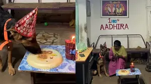 Family celebrates pet dog’s 1st birthday with treats and decorations: ‘Pure love’