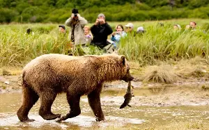 The biggest mistakes travellers make when interacting with wildlife on holiday
