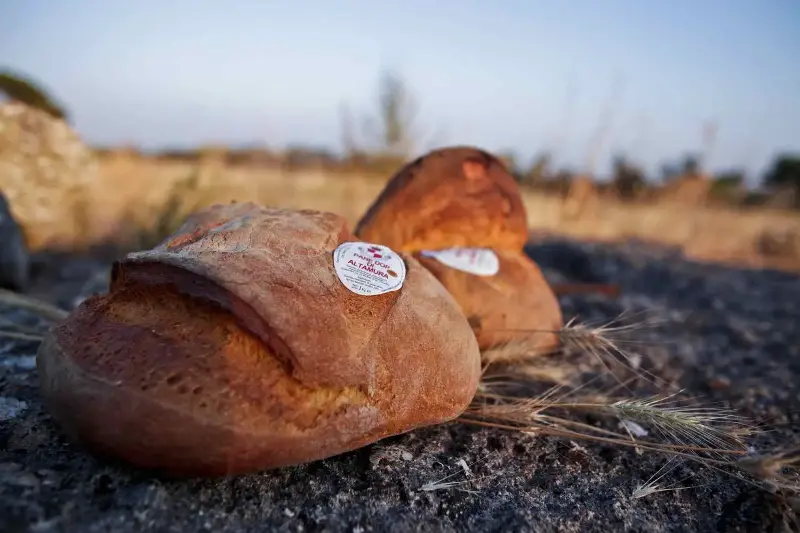 Pane di altamura