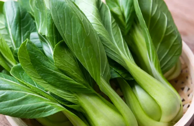5 loại rau xanh cung cấp magie cho cơ thể không cần dùng thuốc- Ảnh 4.