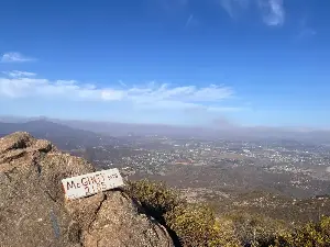 Maura Fox: Spot rare native plants on the steep climb up California's McGinty Mountain