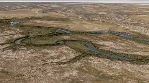 Australian deserts 'transform' after rare rains.