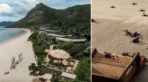 Vietnam ranks among the top 7 destinations in the world for sea turtle release experiences.