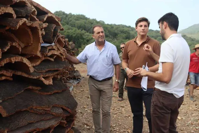 El Ayuntamiento de Ronda pone a la venta 425.000 kilogramos de corcho de una finca municipal por 803.000 euros