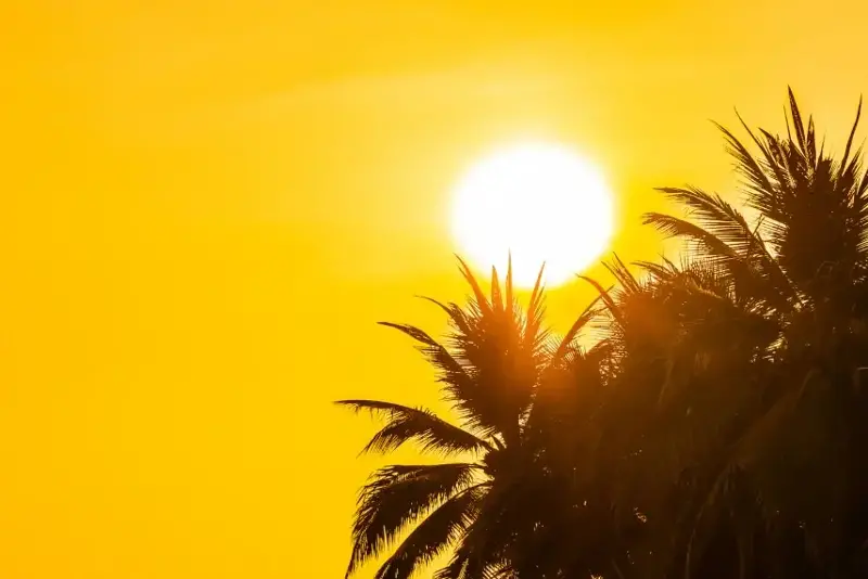 To manage light and travel-triggered migraines, experts recommend wearing sunglasses, staying hydrated, and consulting a doctor for preventative medications. (Freepik)