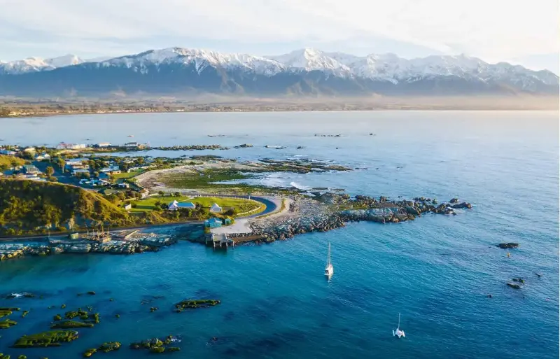 Kaikoura is where mountains meet the sea. (Photo courtesy of Tourism New Zealand)