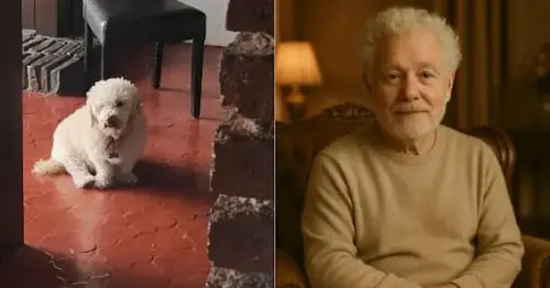Así se vería Jerry, un perrito de 10 años como un humano. Foto: Andrea Hernández/ Chat GPT