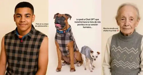 Algunos usuarios se sorprendieron con el resultado. Foto: TikTok @gigisalcido