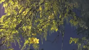 Delhiwale: Thank God, it’s summer again