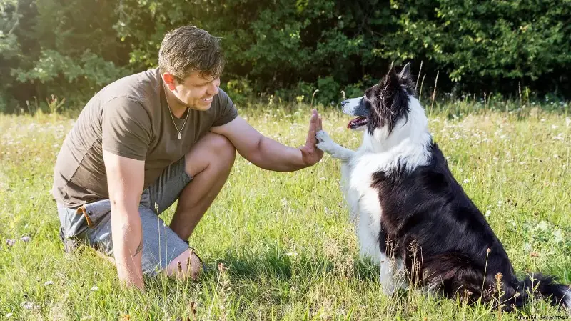 Los perros procesan el habla de forma más parecida a los humanos de lo que se creía
