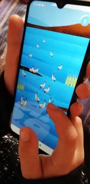 SEO/BirdLife desarrolla dos aplicaciones móviles gratuitas para la identificación y el conteo de aves en España