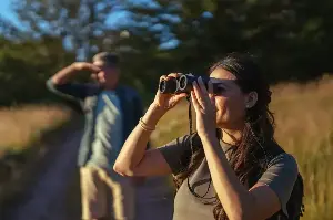 The best holidays for budding birdwatchers