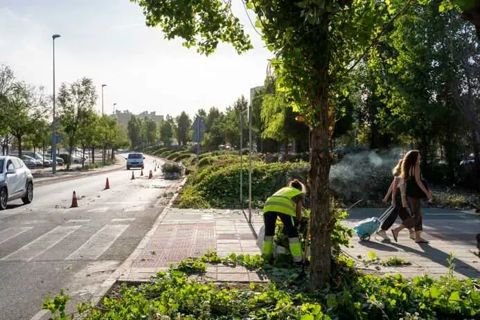 Mairena del Aljarafe refuerza su servicio de jardinería con una inversión de más de dos millones de euros