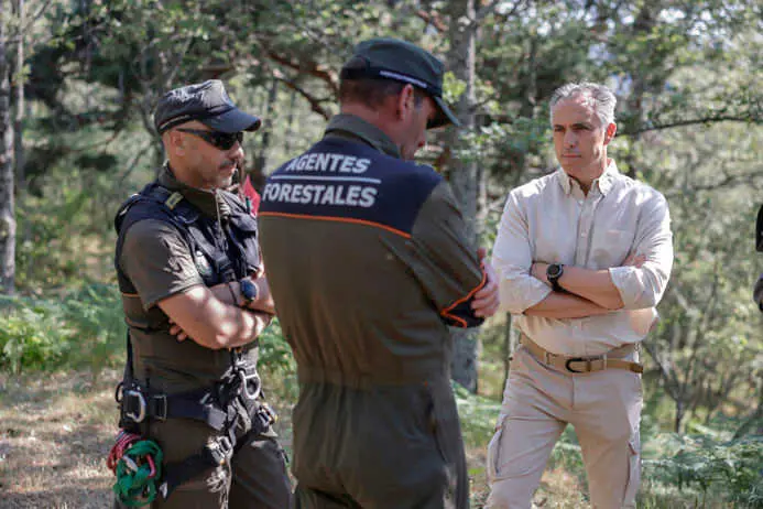 La Comunidad de Madrid alcanza los 2.000 pollos de buitre negro anillados en la Sierra de Guadarrama desde 1997