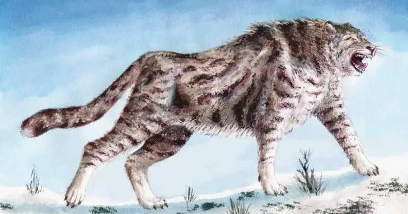 The American cheetah's northern range