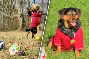 Dog named Ronaldo goes viral with his epic goalkeeping skills!