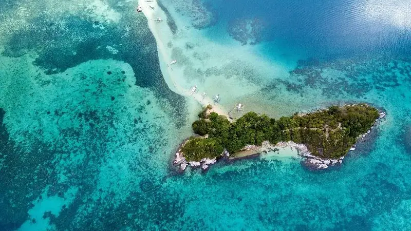Snake Island Brazil