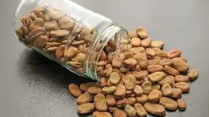 Adelaide Researchers Develop Calcium-Fortified Faba Bean Milk with Improved Texture