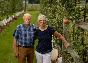 Want to go apple-picking? Some Illinois orchards might not open after several spring frosts killed crops