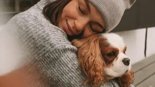 Do you prefer your dog over anyone else?