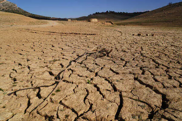 La Plataforma del Tercer Sector se adhiere al Pacto de Estado frente a la Emergencia Climática