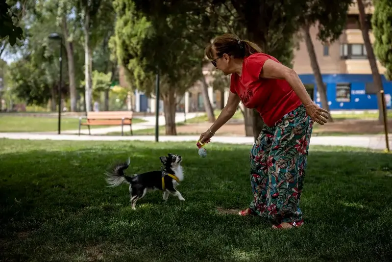 Una dueña y su perro jugando