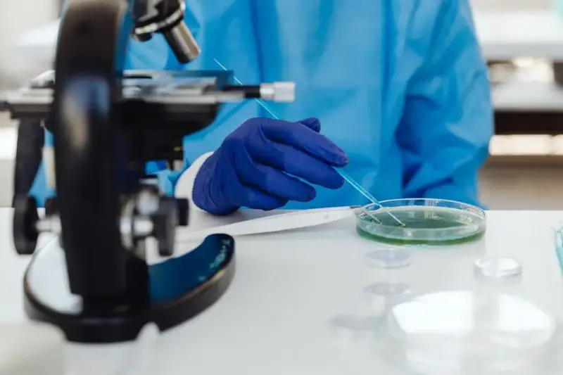 Harvard neuroscientists kept peppercorn-sized clumps of human brain cells alive in a dish for more than five years, tripling the previous 694-day record set in 2021 and long enough that the organoids began mimicking developmental stages seen in living people