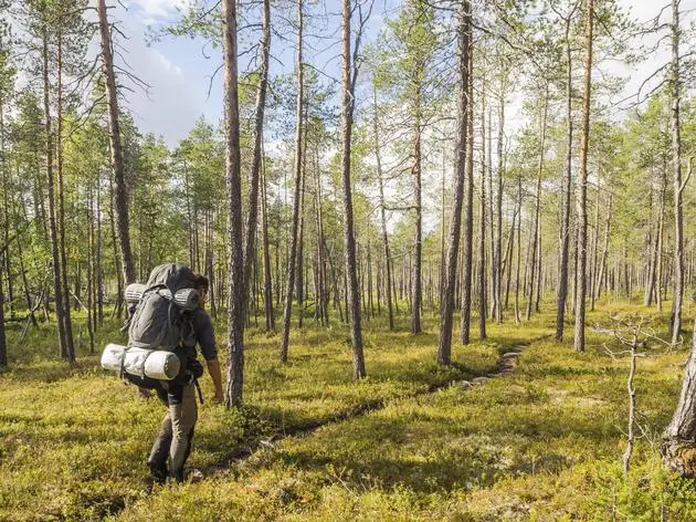 Im Sommer kann man in Lappland rund um die Uhr wandern.