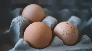 ‘Stop storing eggs like this’: Food safety officer reveals right way to store them; common mistakes that spoil eggs